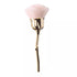 Gold Chrome Rose Brush with pink Bristles