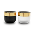 Glass Cosmetic Jars | Cache XL - Pottle